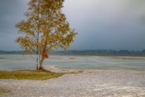 Der Forggensee - Nur von Juni bis Oktober hat er seine volle Stauhöhe. Im Winter steht er leer und Ihr könnt den Grund durchlaufen.  • © Loc Hoang